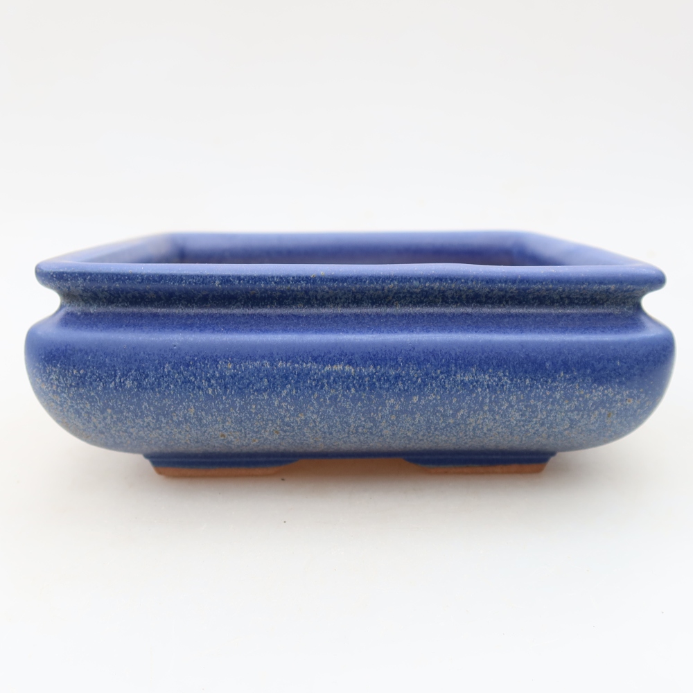Vaso da bonsai in ceramica 15,5 x 15,5 x 6 cm, colore blu