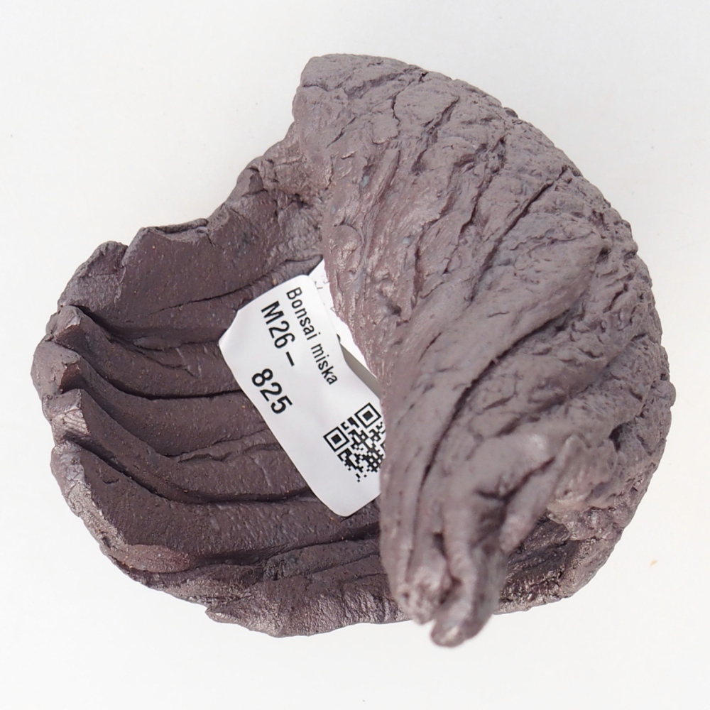 Conchiglia in ceramica 9 x 8,5 x 13,5 cm , colore metallizzato