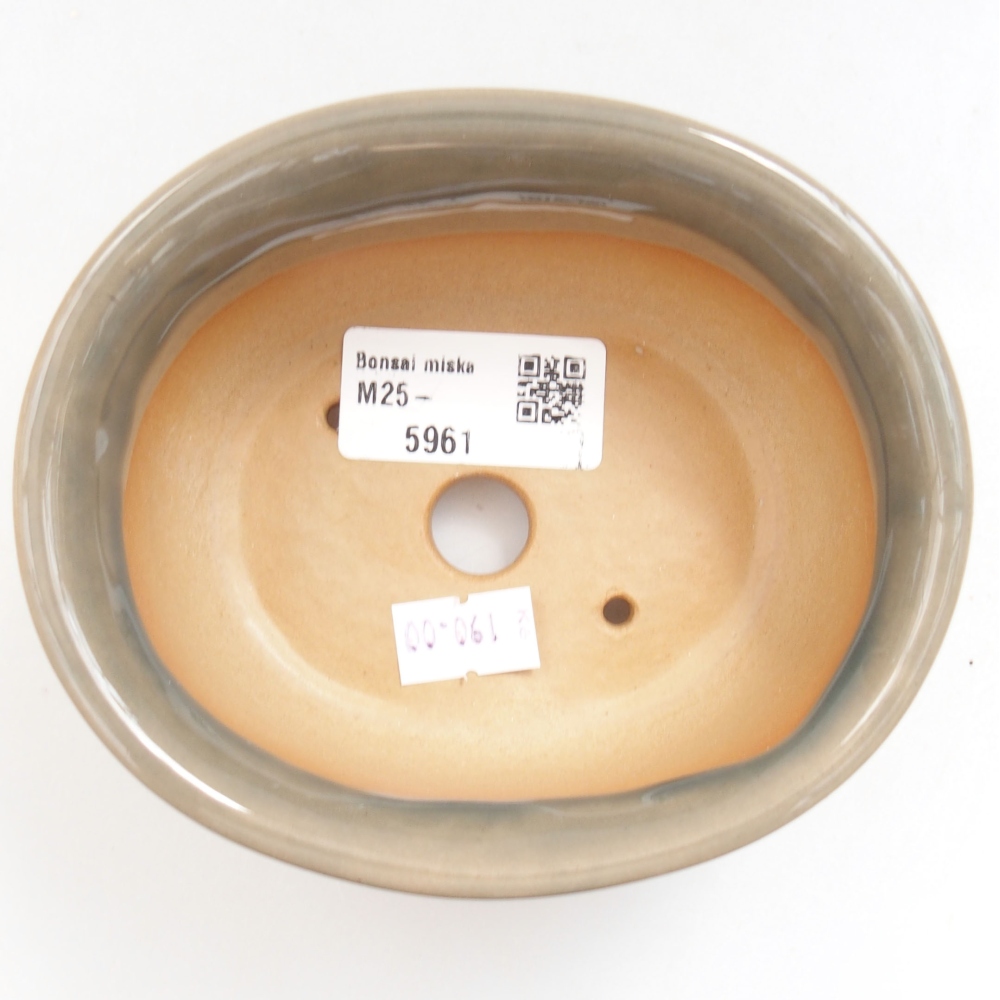 Ciotola bonsai in ceramica 22 x 17 x 5 cm, verde