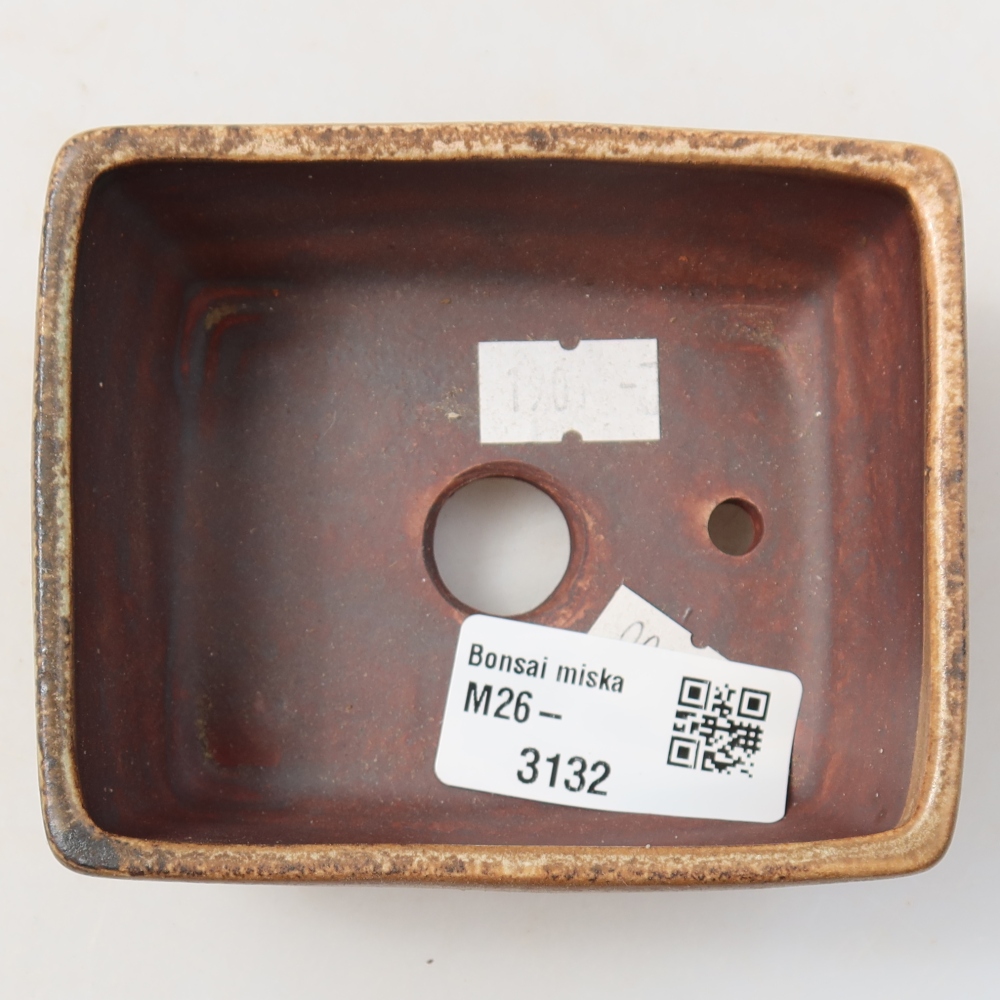 Ciotola per bonsai in ceramica 9,5 x 7,5 x 3,5 cm, marrone