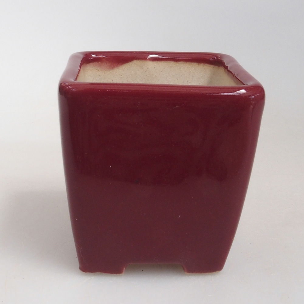 Mini bonsai 4,5 x 4,5 x 4,5 cm, bordeaux