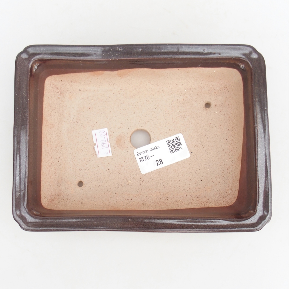 Ciotola per bonsai in ceramica 18 x 13,5 x 4,5 cm, marrone