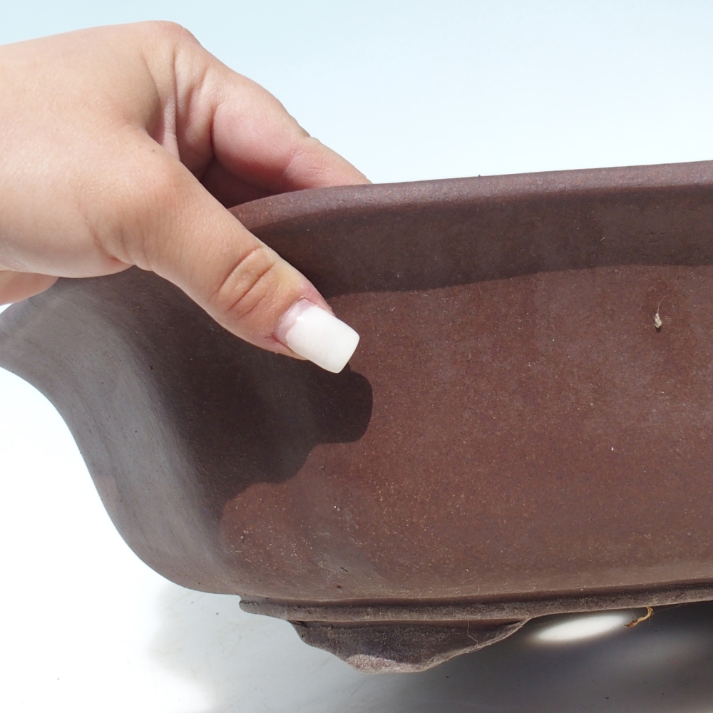 Ciotola bonsai 39 x 39 x 11,5 cm betulla marrone