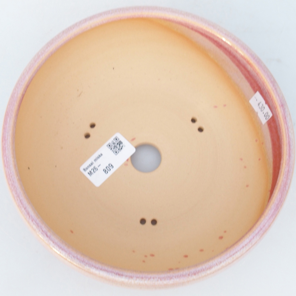 Ciotola bonsai in ceramica 18,5 x 18,5 x 6,5 cm, rosa