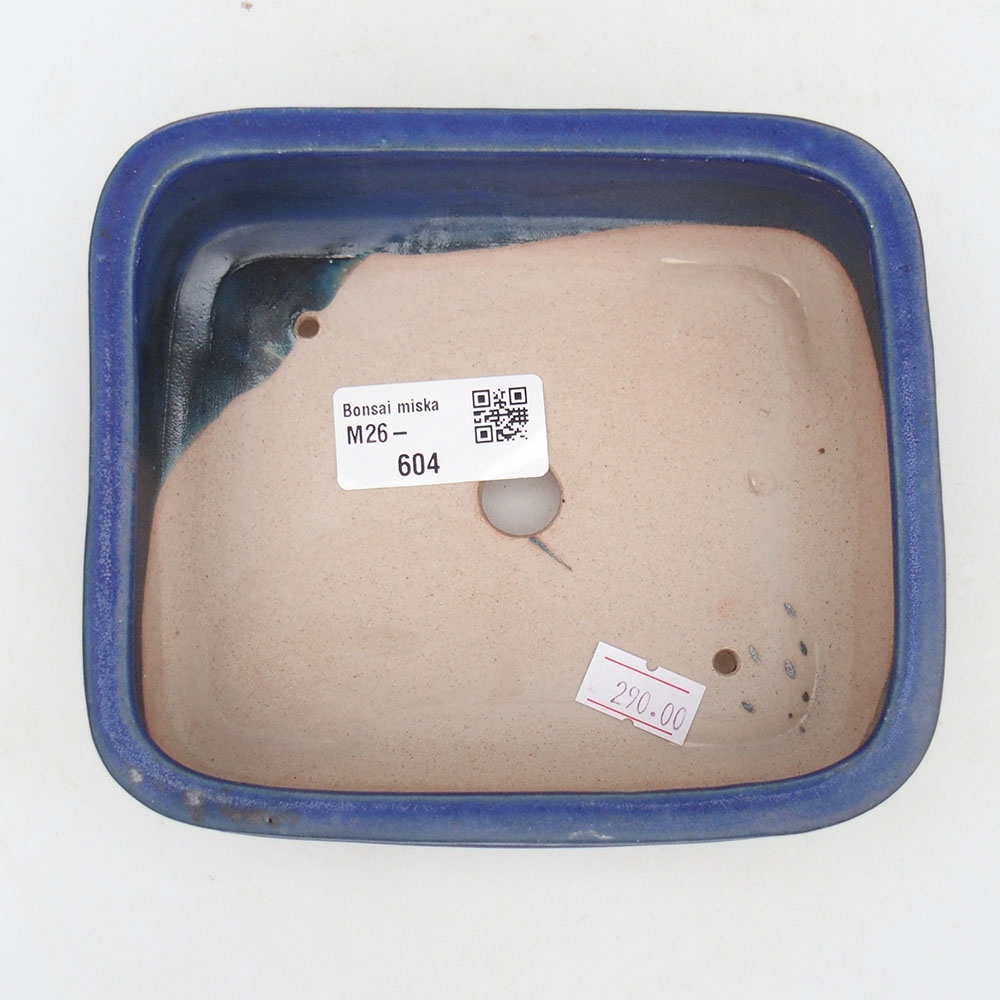 Ciotola bonsai in ceramica 14,5 x 12,5 x 4,5 cm, colore blu