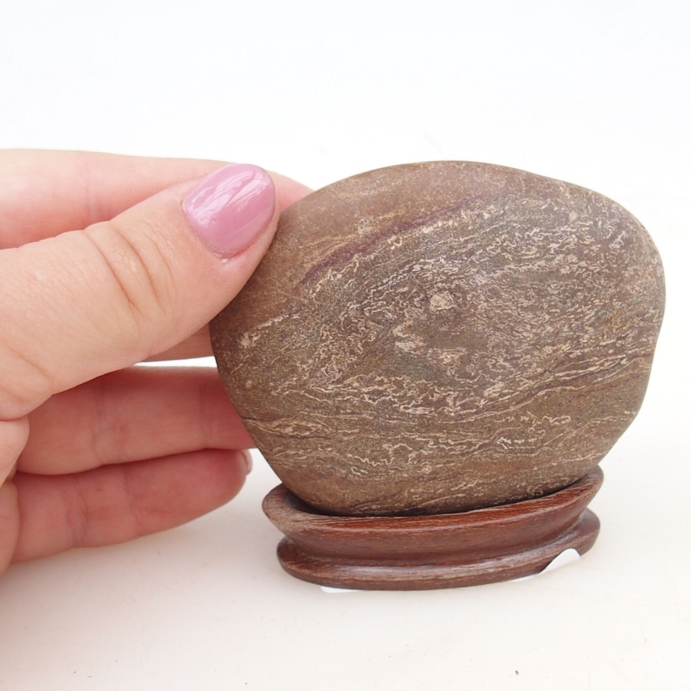 Suiseki - Pietra con DAI (base in legno)