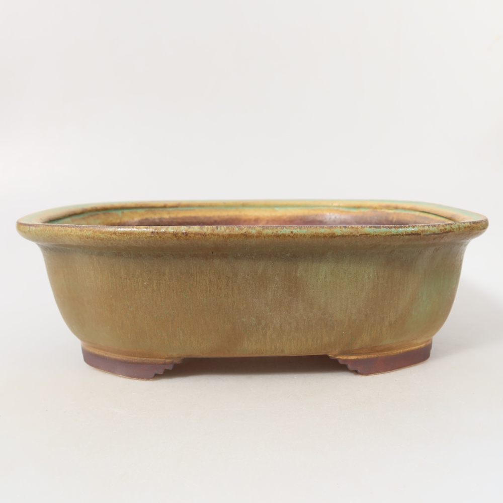 Ciotola bonsai in ceramica 25 x 21,5 x 7,5 cm, verde