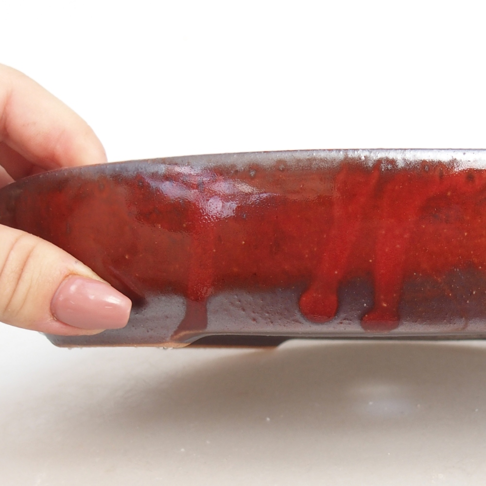 Ciotola per bonsai in ceramica 22 x 17 x 4 cm, colore rosso