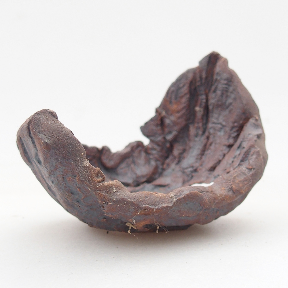 Conchiglia in ceramica 7,5 x 5,5 x 6 cm , colore marrone
