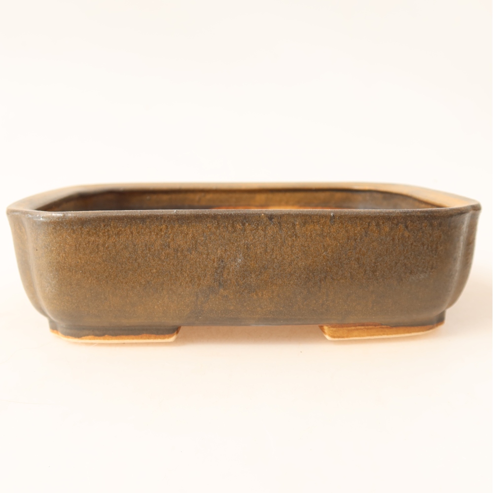 Vaso per bonsai in ceramica 18 x 14 x 4,5 cm, colore marrone