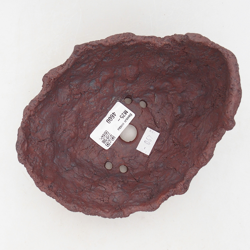 Conchiglia in ceramica 14 x 13 x 11,5 cm , colore marrone