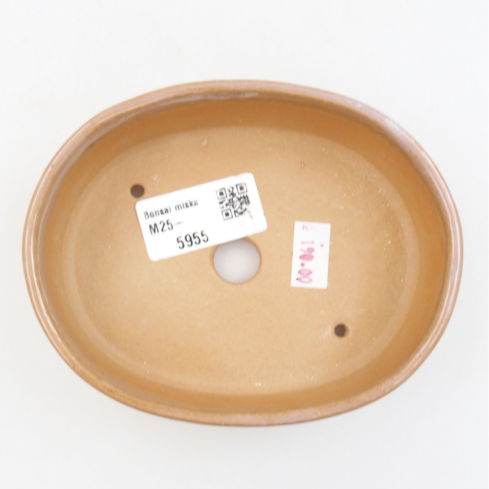 Ciotola bonsai in ceramica 22 x 17 x 5 cm, verde