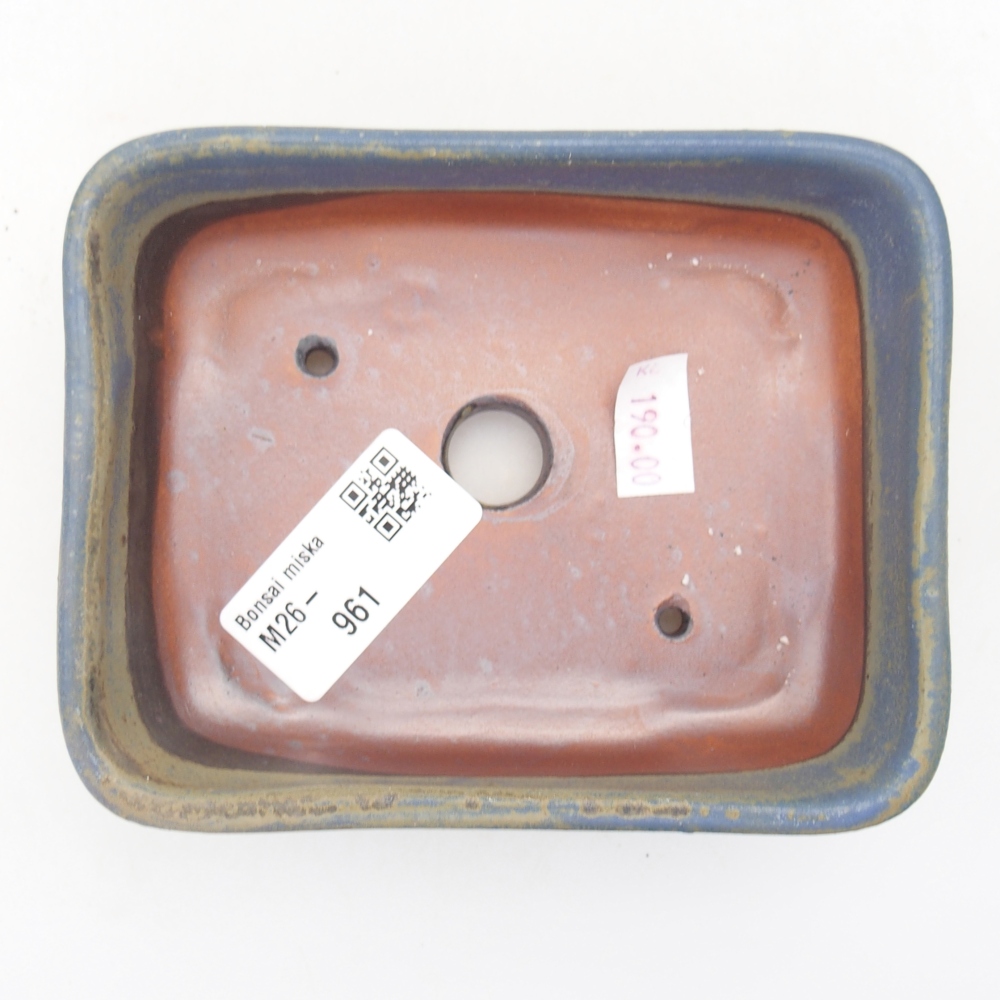 Ciotola per bonsai in ceramica 12,5 x 9 x 3,5 cm, colore blu