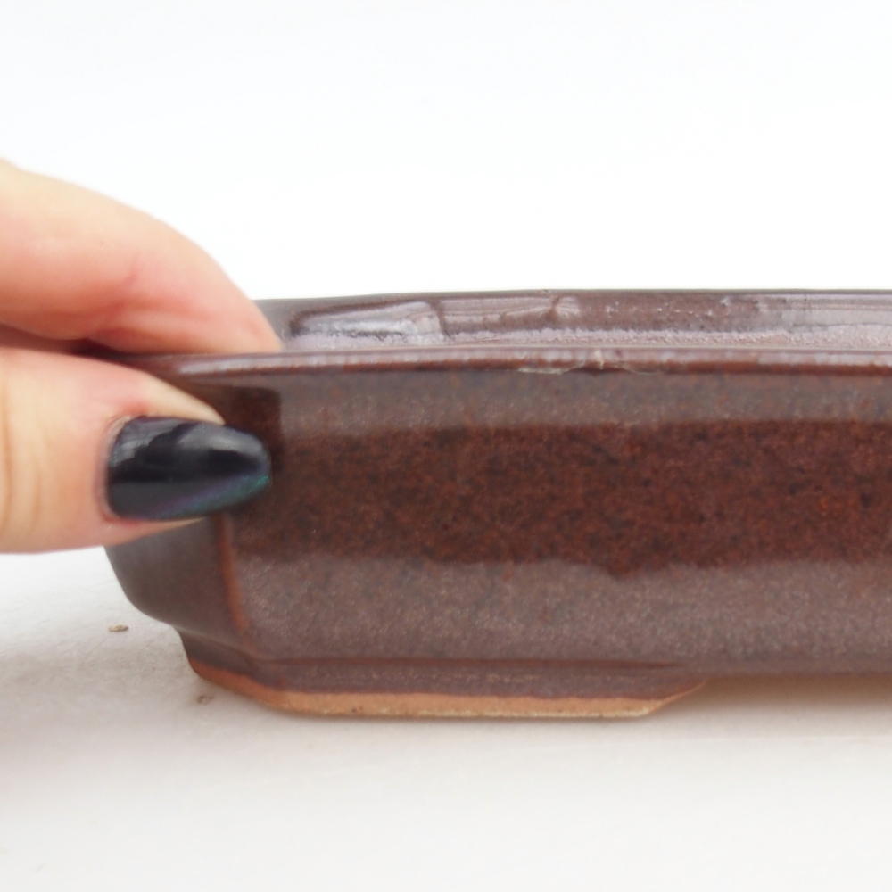 Ciotola per bonsai in ceramica 18,5 x 13,5 x 4,5 cm, marrone