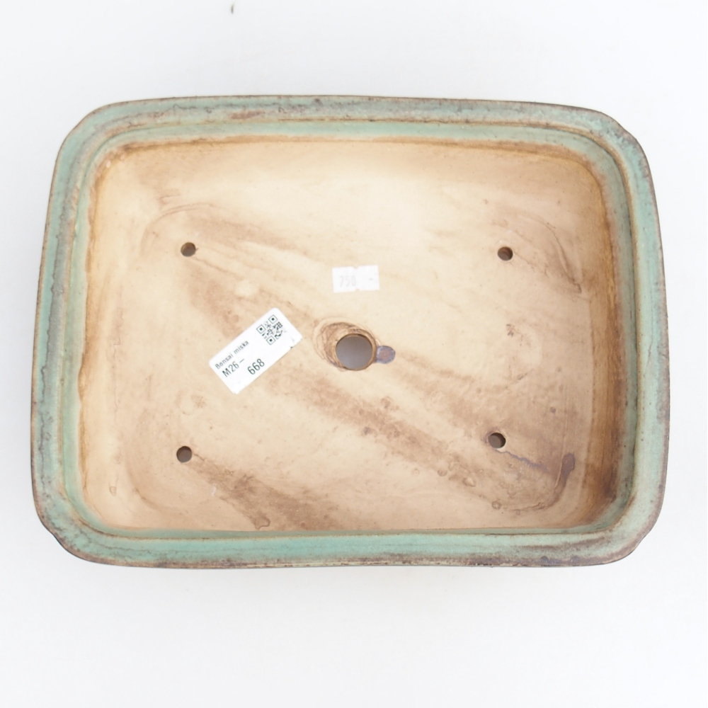 Ciotola per bonsai in ceramica 25 x 20 x 7,5 cm, verde