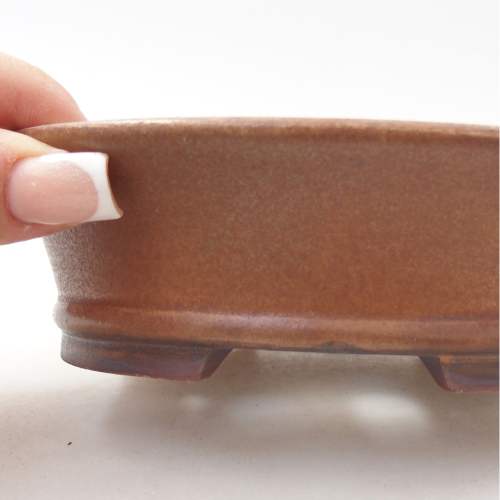 Ciotola per bonsai in ceramica 14 x 12,5 x 4 cm, marrone