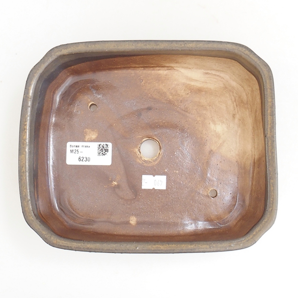 Ciotola per bonsai in ceramica 21 x 18 x 6 cm, marrone