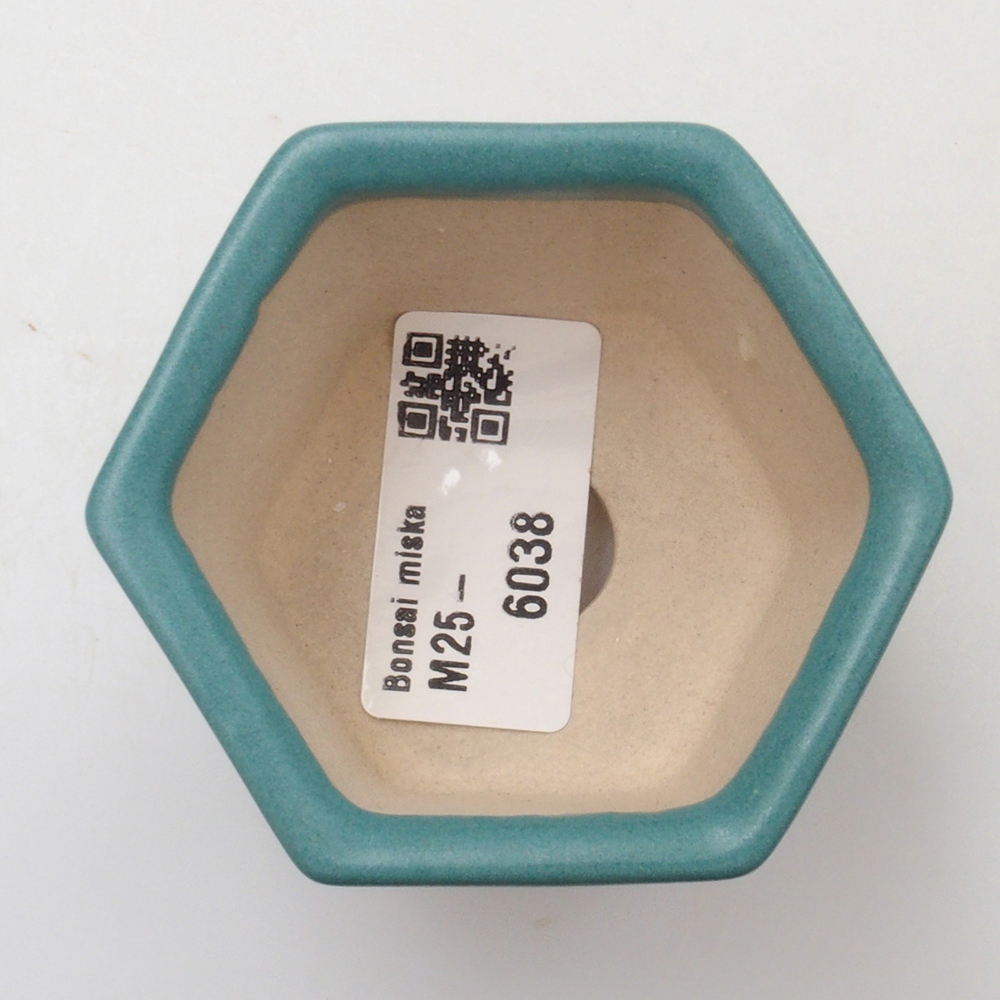 Ciotola bonsai in ceramica 6,5 x 5,5 x 4 cm, colore blu