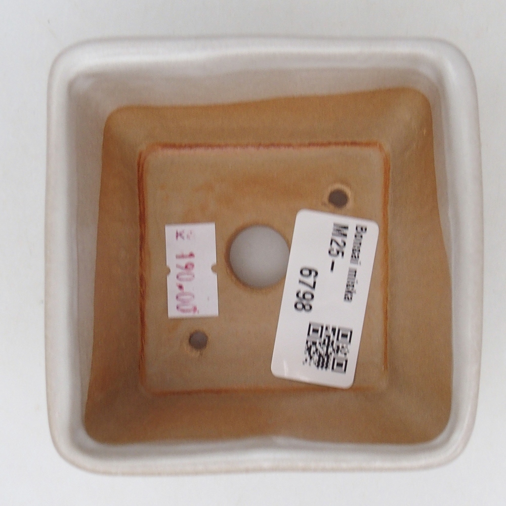 Ciotola per bonsai in ceramica 8,5 x 8,5 x 6 cm, bianca