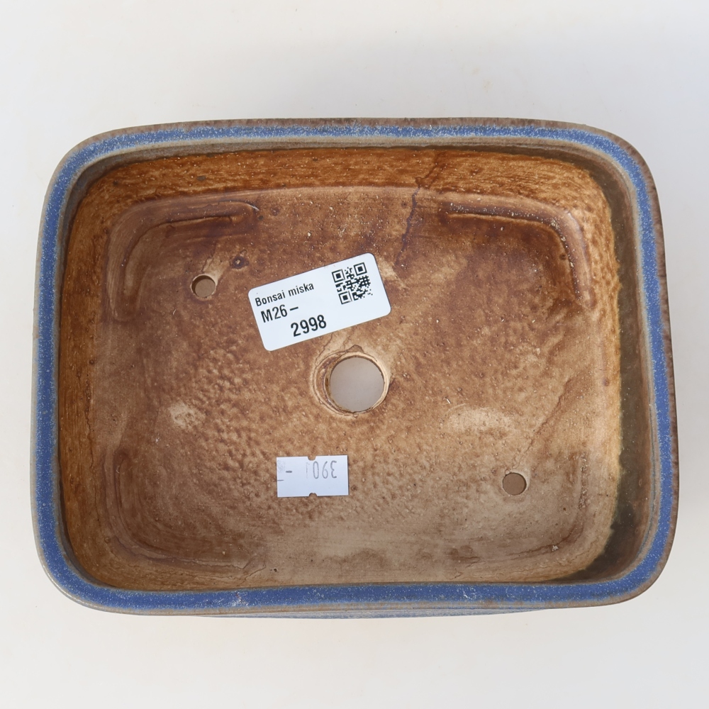 Vaso in ceramica per bonsai 17 x 13,5 x 4,5 cm, colore blu