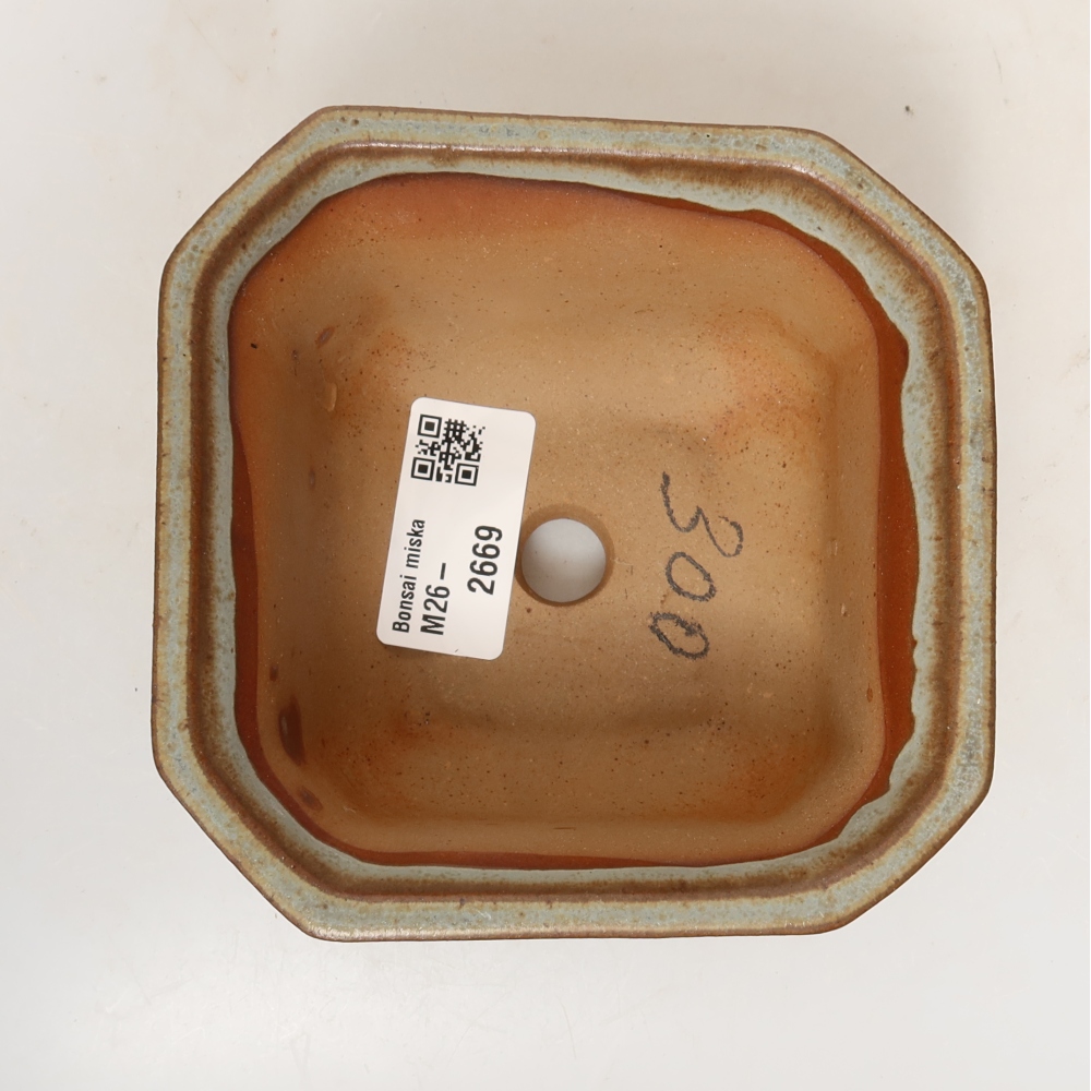 Conchiglia in ceramica  11 x 11 x 6,5 cm, colore beige