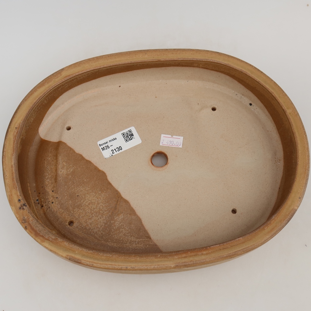 Ciotola bonsai in ceramica 27 x 21 x 5,5 cm, colore beige
