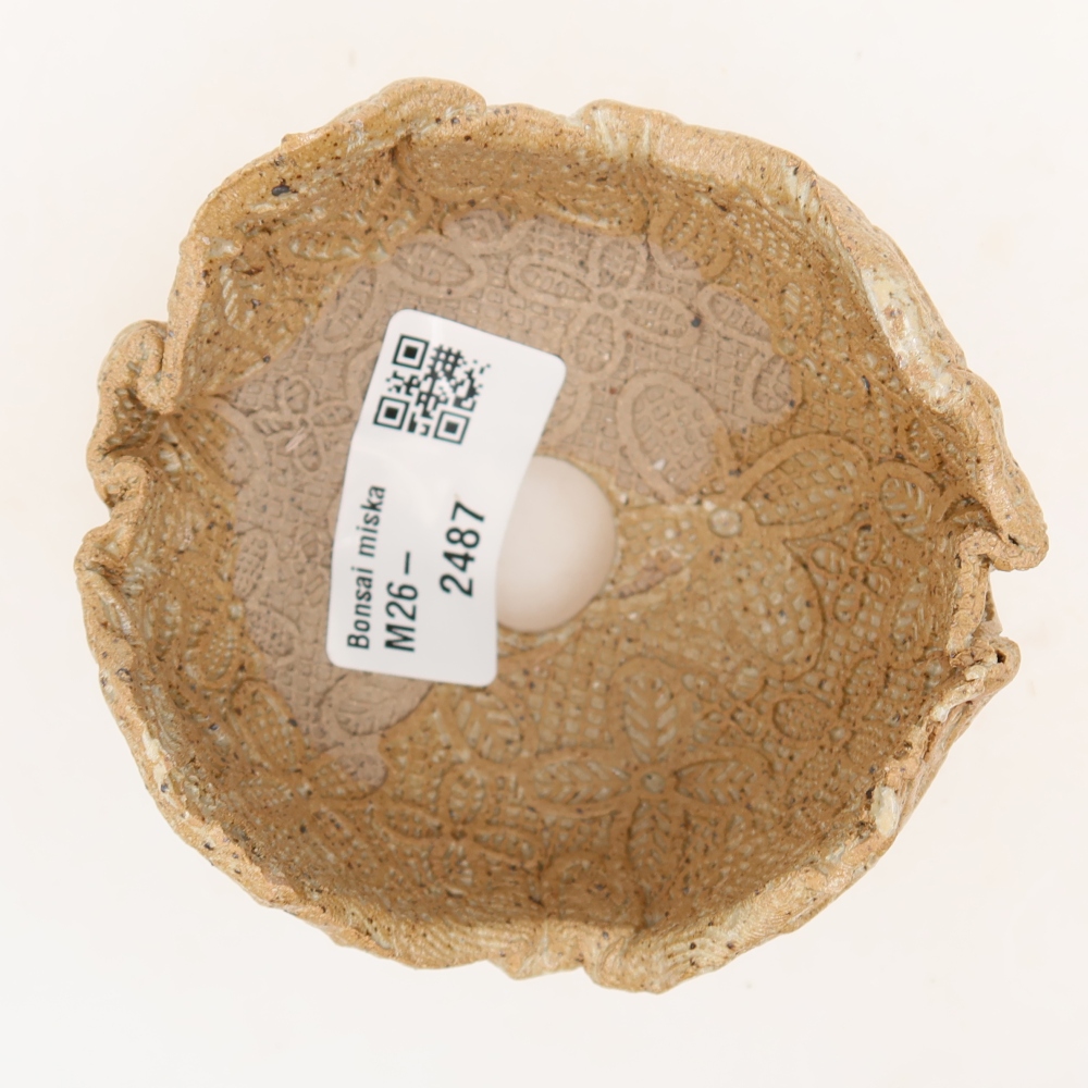 Conchiglia in ceramica 8,5 x 8,5 x 6 cm , colore beige