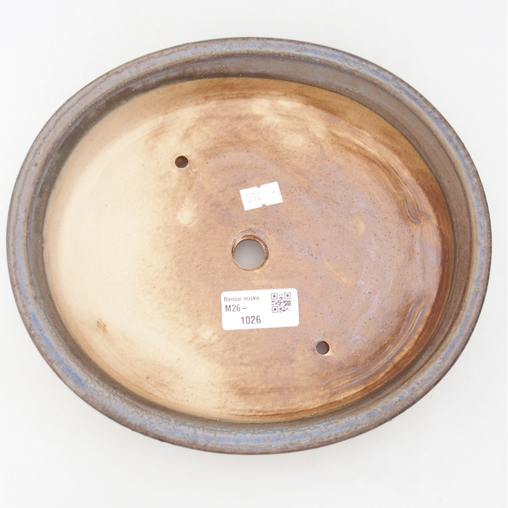 Ciotola bonsai in ceramica 24 x 21 x 5 cm, colore blu