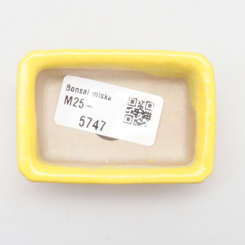 Ciotola bonsai in ceramica 7 x 4,5 x 2 cm, giallo