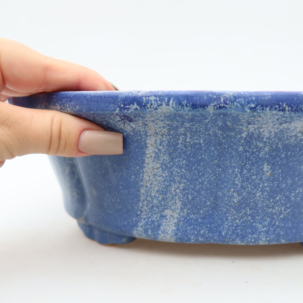 Ciotola bonsai in ceramica 26,5 x 26,5 x 8,5 cm, colore blu