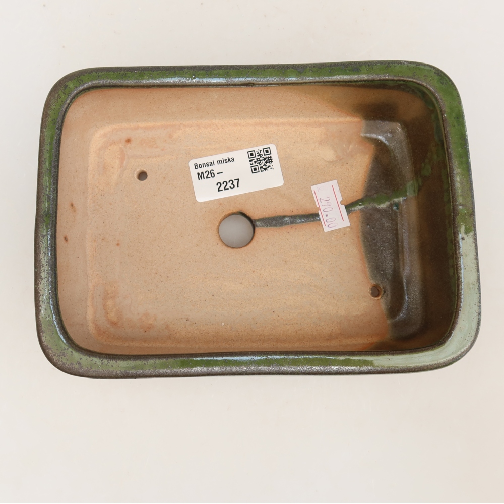 Vaso da bonsai in ceramica 17 x 12,5 x 5,5 cm, colore verde