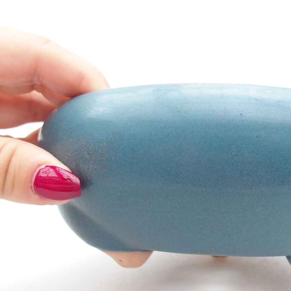 Ciotola bonsai in ceramica 14 x 14 x 6,5 cm, colore blu