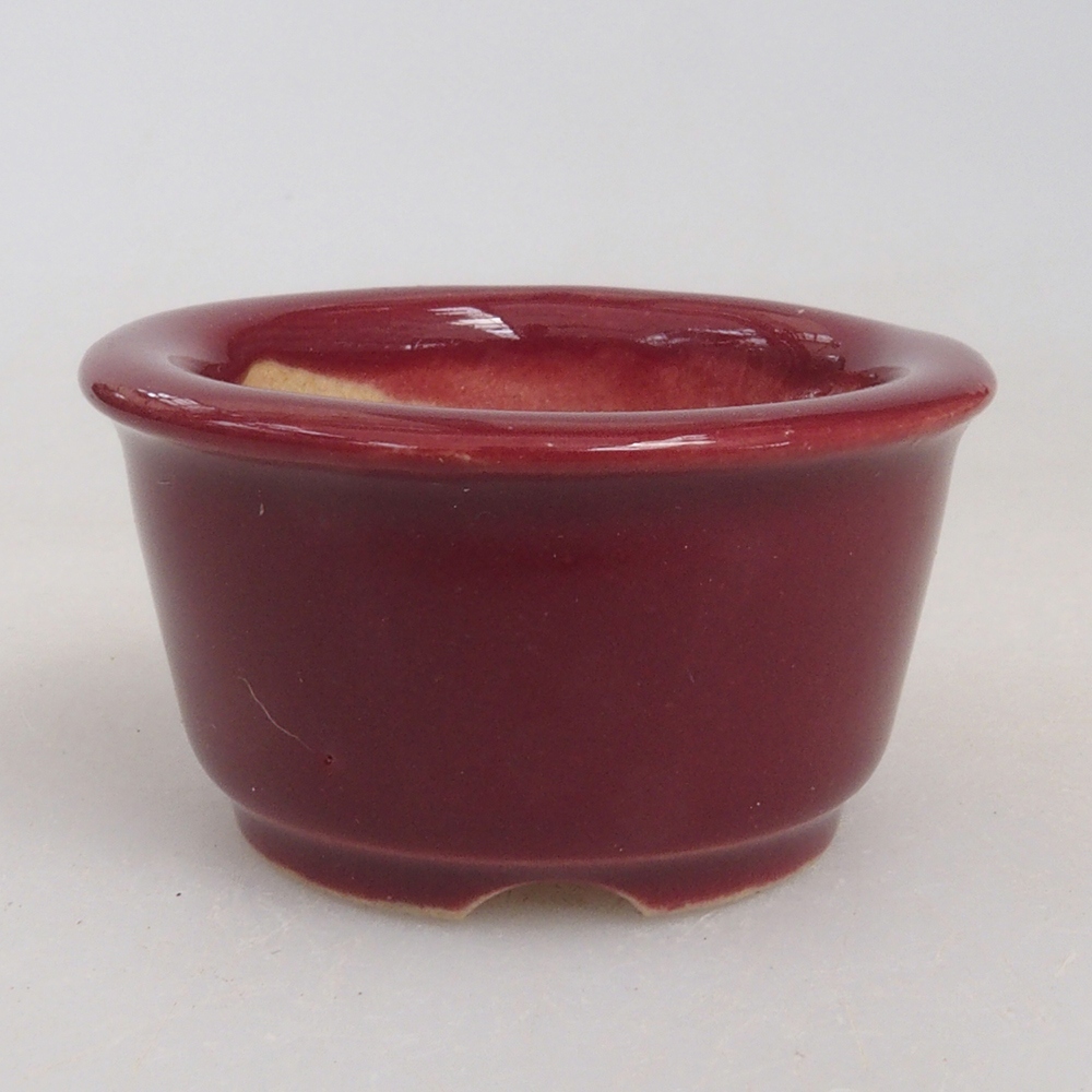 Ciotola per mini bonsai 4 x 4 x 2 cm, bordeaux