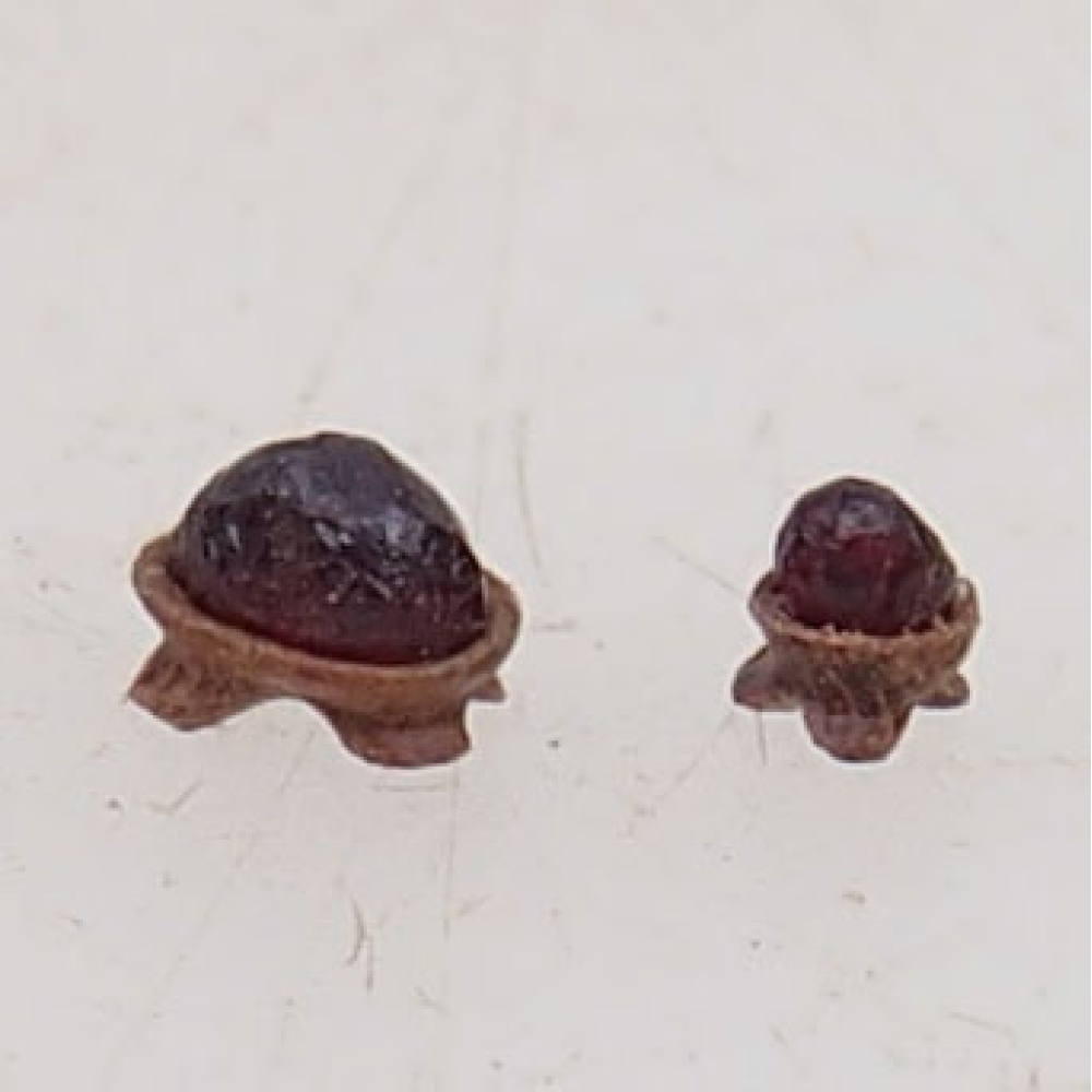 Suiseki - Pietra con DAI (base in legno)