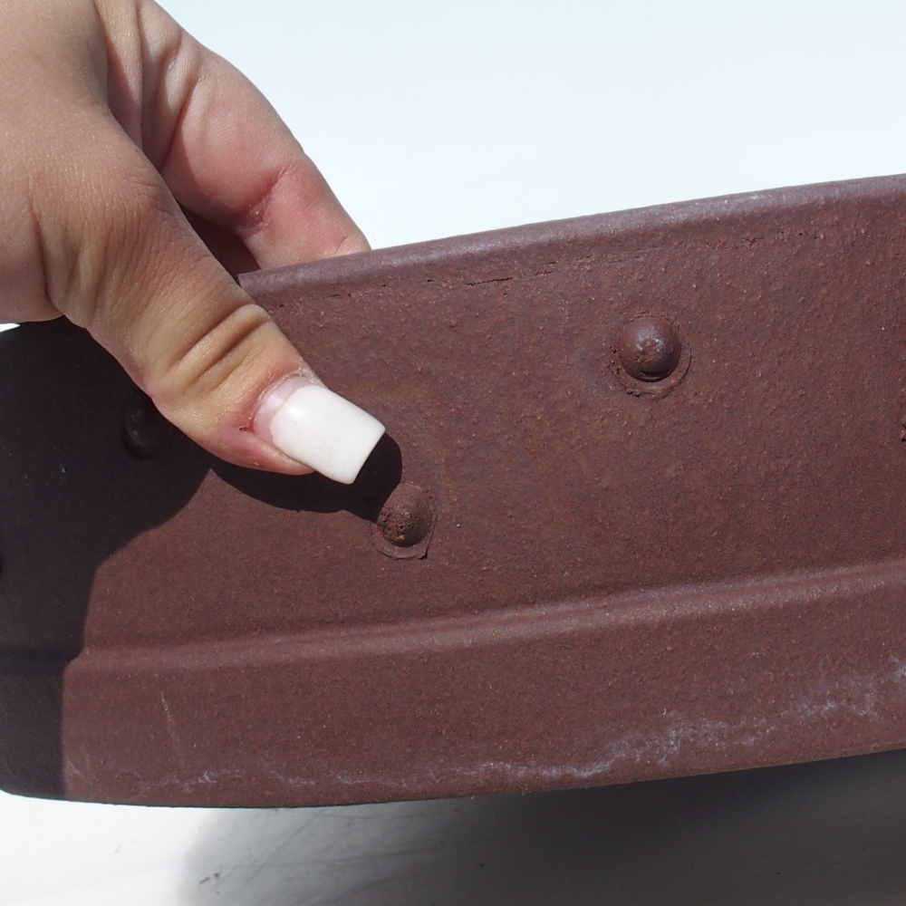 Ciotola per bonsai 37 x 37 x 8,5 cm betulla marrone