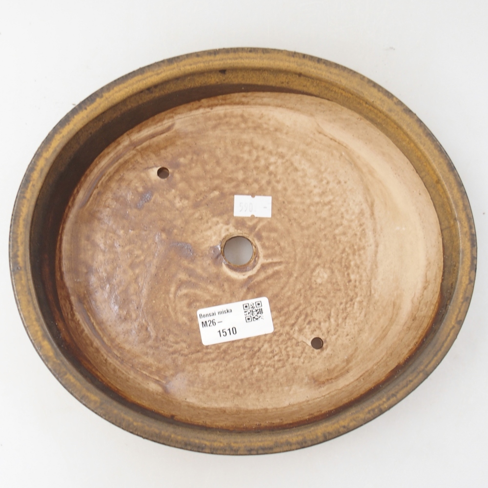 Ciotola per bonsai in ceramica 24 x 21 x 5 cm, marrone