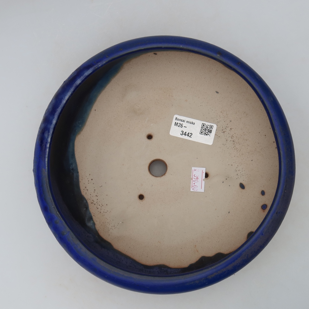 Vaso da bonsai in ceramica 20 x 20 x 7,5 cm, colore blu