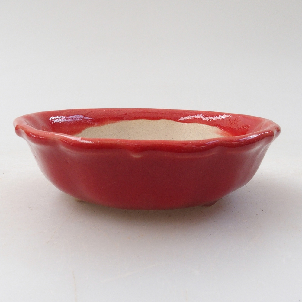 Mini bonsai 7 x 7 x 2 cm, colore rosso