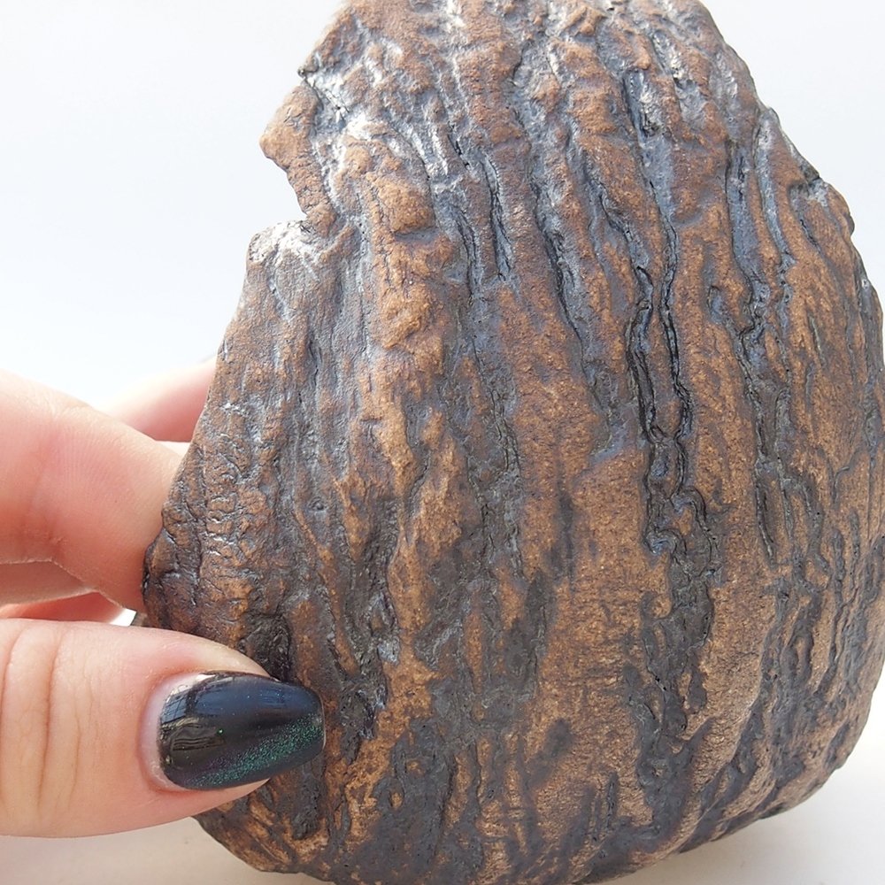 Conchiglia in ceramica 9,5 x 9 x 12 cm , colore marrone