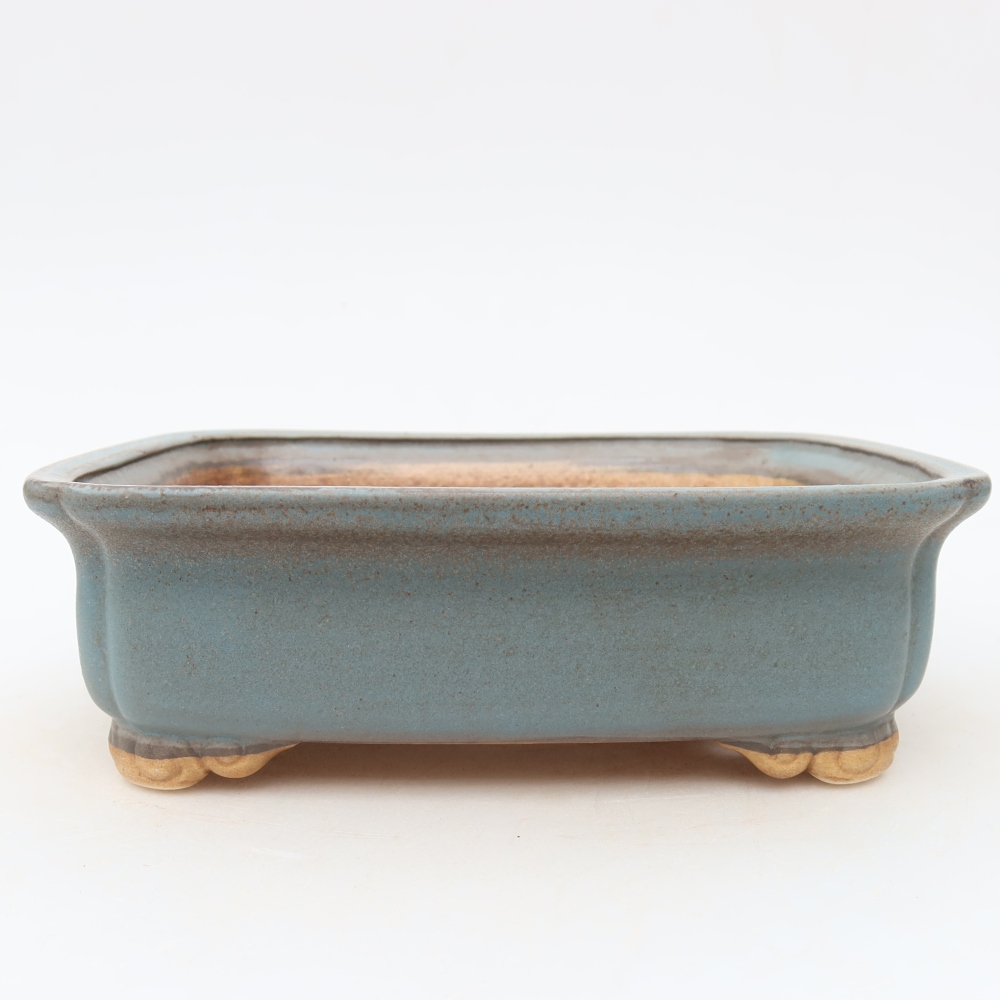 Vaso in ceramica per bonsai 20 x 17,5 x 6 cm, colore blu