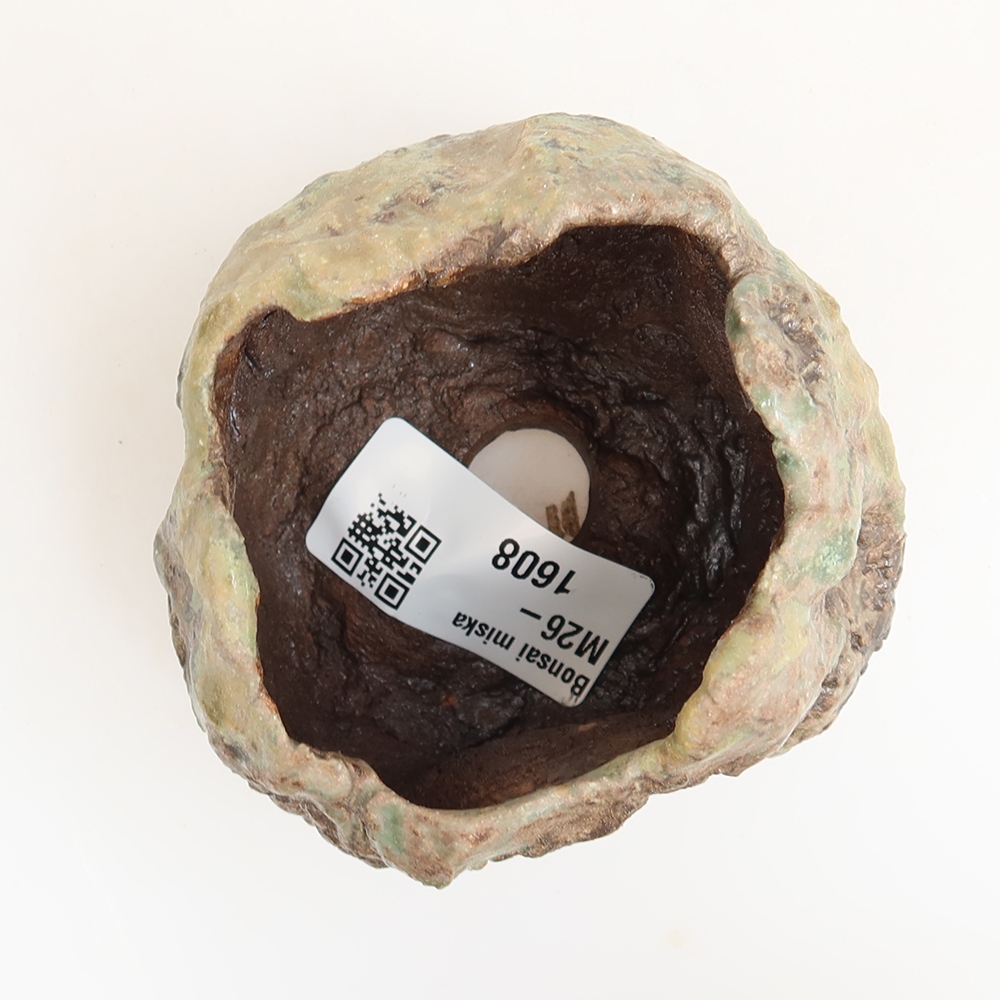 Guscio in ceramica  6 x 5 x 6 cm, colore verde