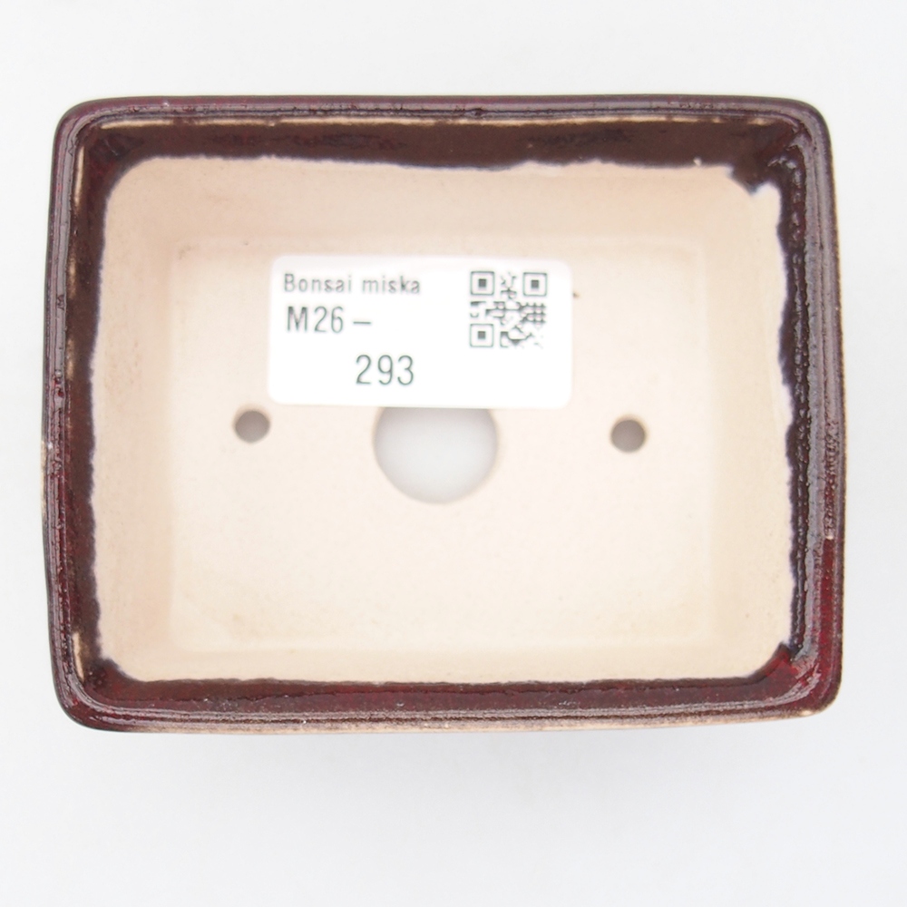 Mini bonsai 9 x 7 x 3,5 cm, colore rosso