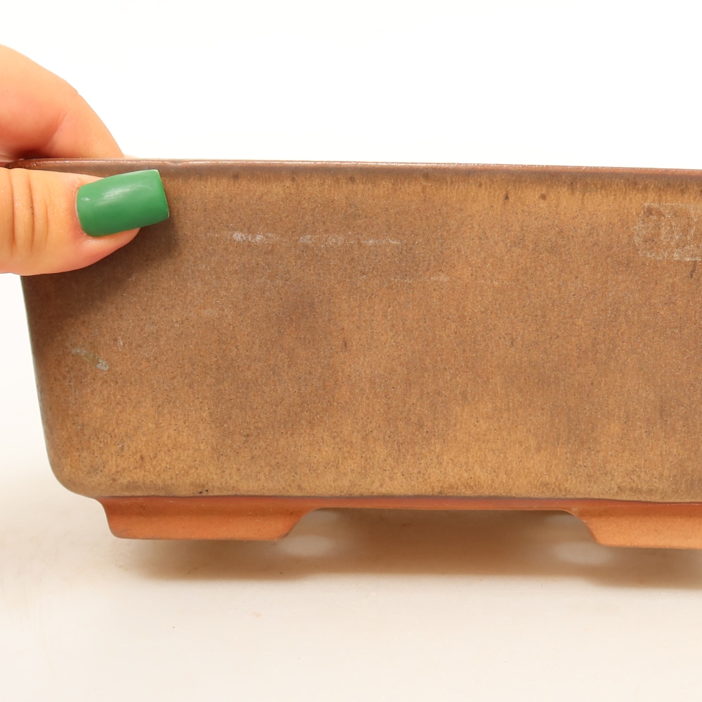 Guscio in ceramica  19,5 x 15 x 8,5 cm, colore marrone