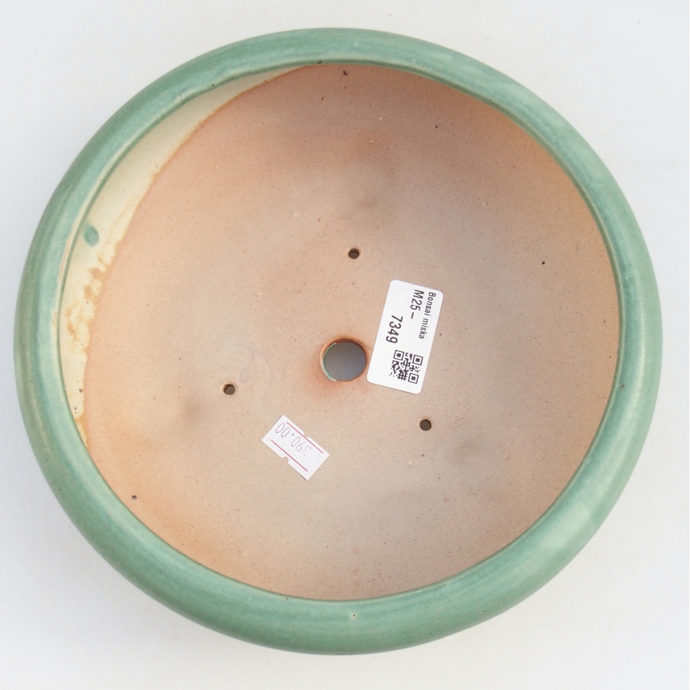 Ciotola bonsai in ceramica 21 x 21 x 7,5 cm, verde