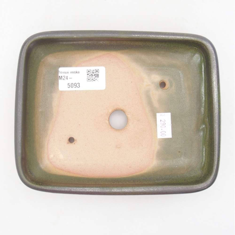 Ciotola bonsai in ceramica 17 x 14 x 3,5 cm, verde
