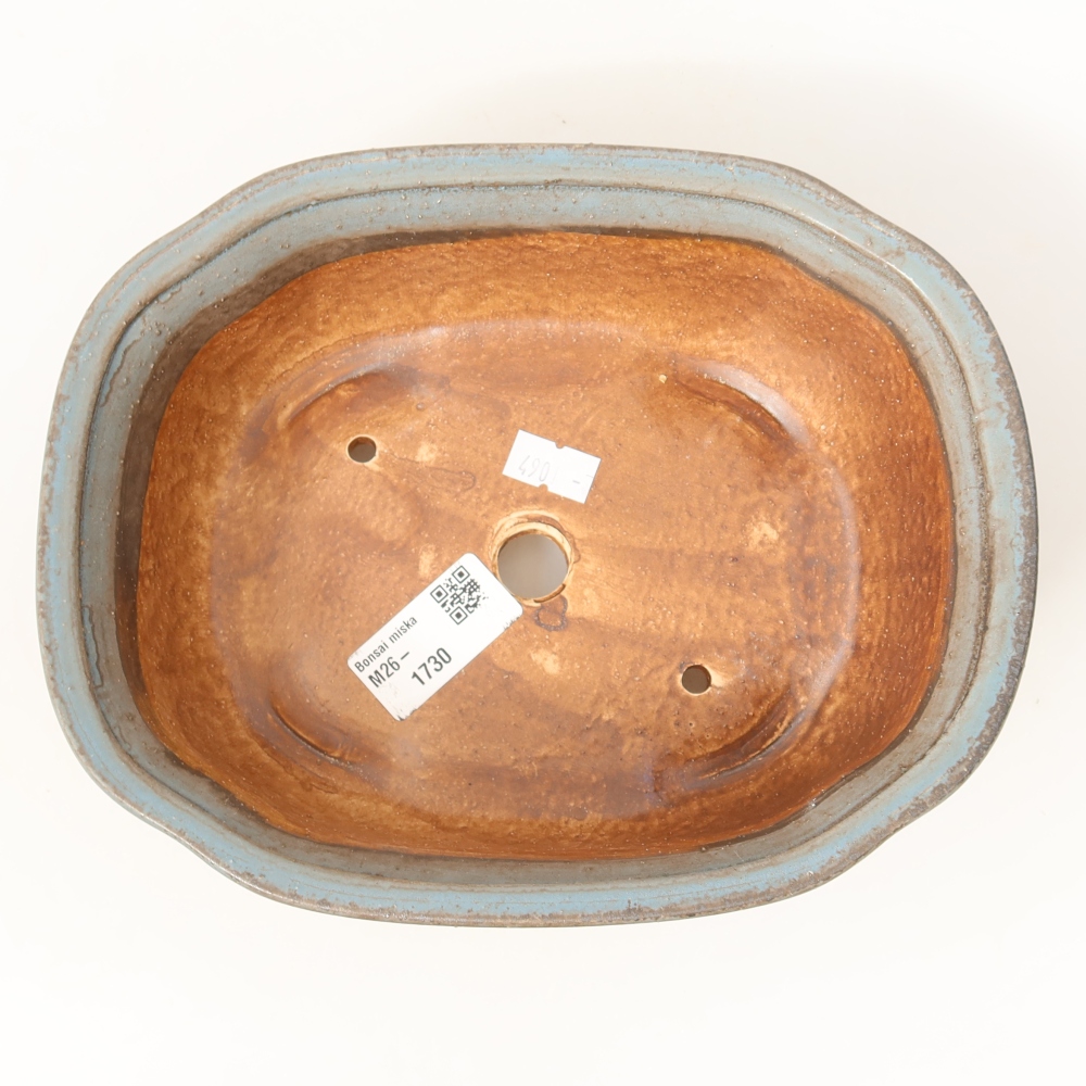 Vaso da bonsai in ceramica 20,5 x 16,5 x 7 cm, colore blu