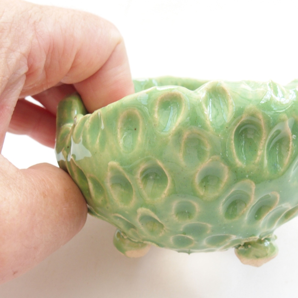 Conchiglia in ceramica 7,5 x 7,5 x 5,5 cm , colore verde