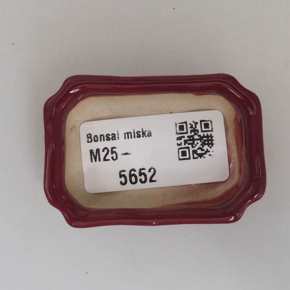 Ciotola mini bonsai 5,5 x 3,5 x 1,5 cm, bordeaux