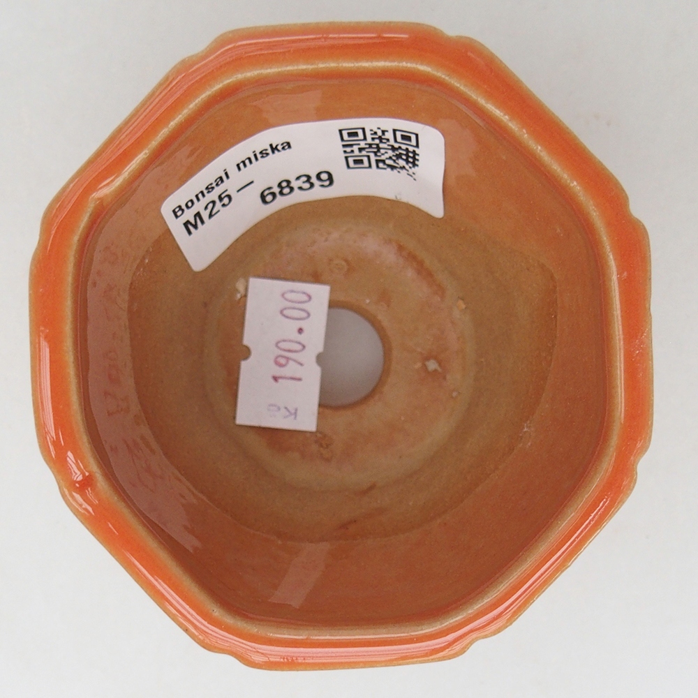 Ciotola per bonsai in ceramica 7,5 x 7,5 x 6 cm, arancione