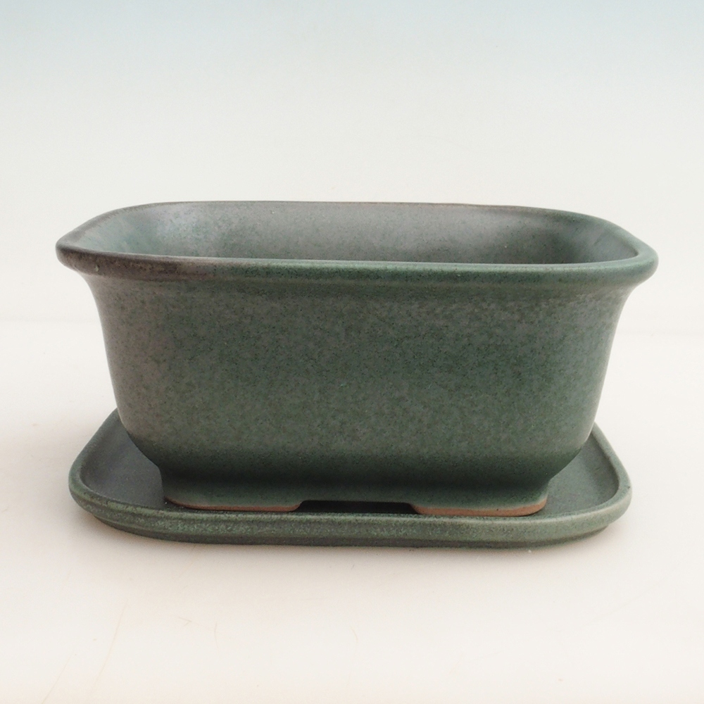 Ciotola bonsai + piattino H36 - 17 x 15 x 7,5 cm. - verde